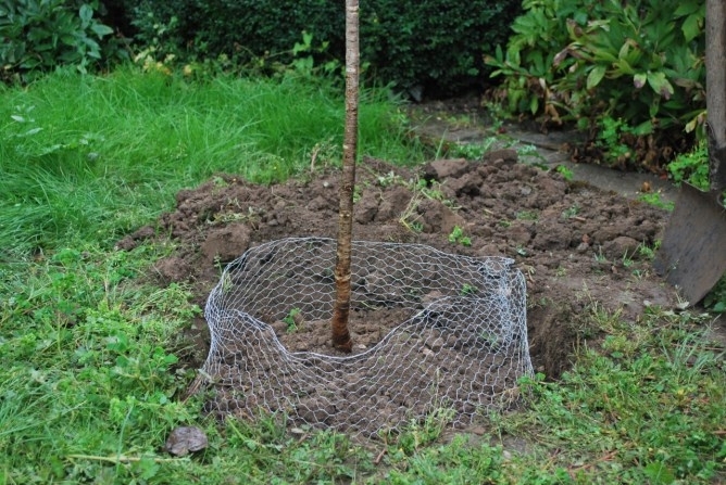 Wühlmauskorb KLEIN Ø35cm 291171 Wühlmauskorb KLEIN Ø35cm 291171