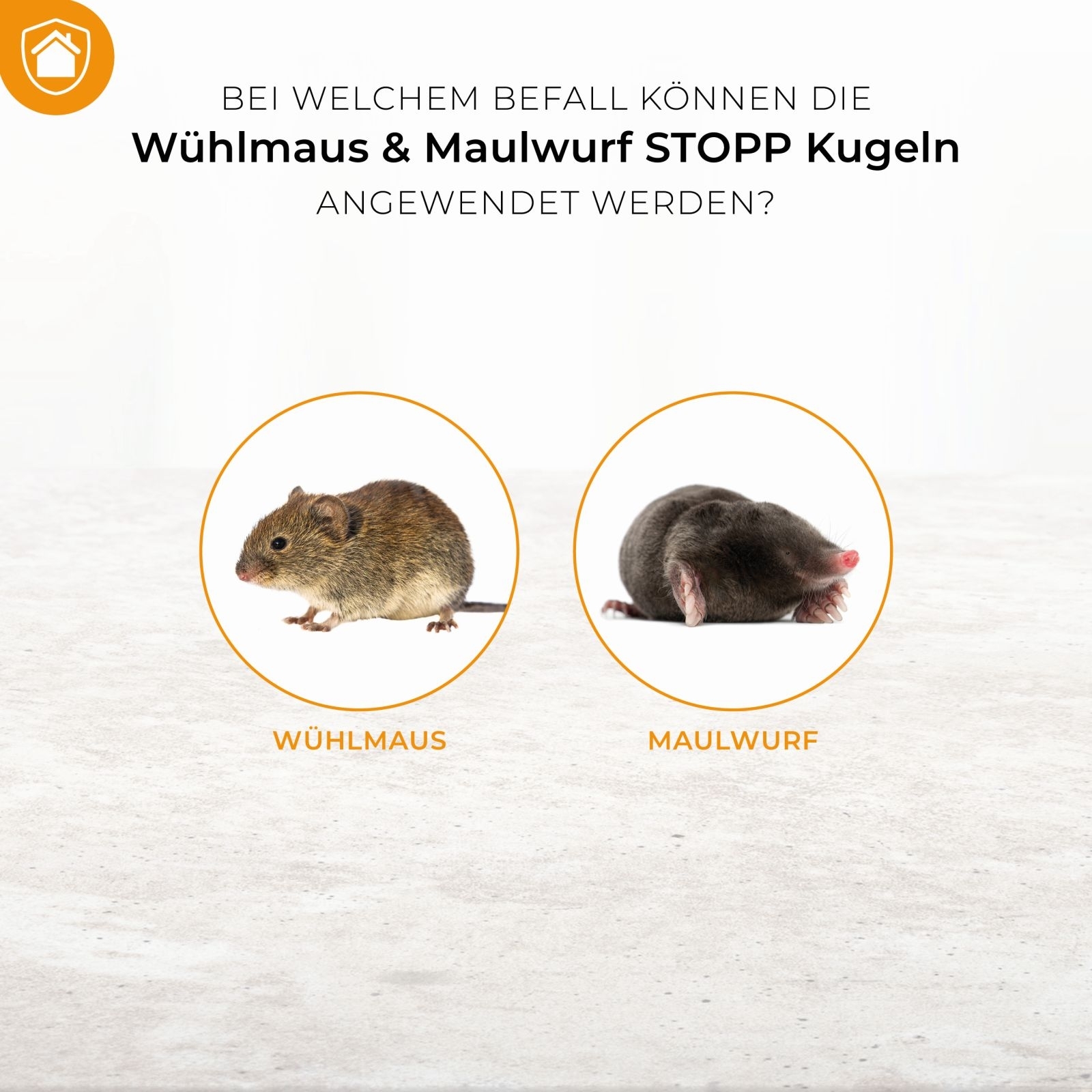 90g Wühlmaus und Maulwurf STOPP Kugeln