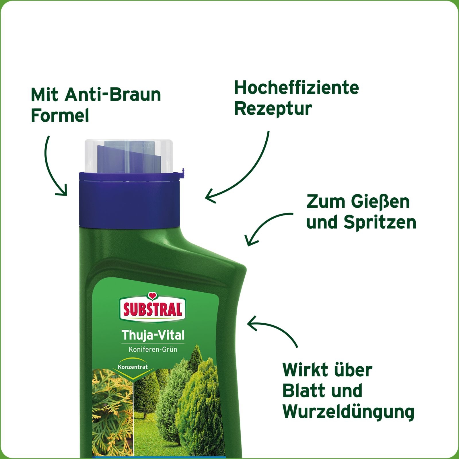 500ml Substral®Thuja Vital