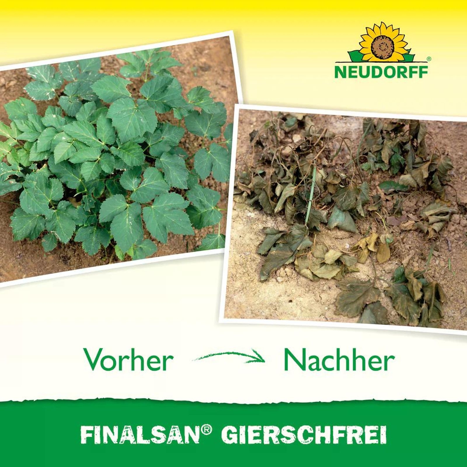 NEUDORFF 1l Finalsan GierschFrei NEUDORFF 1l Finalsan GierschFrei