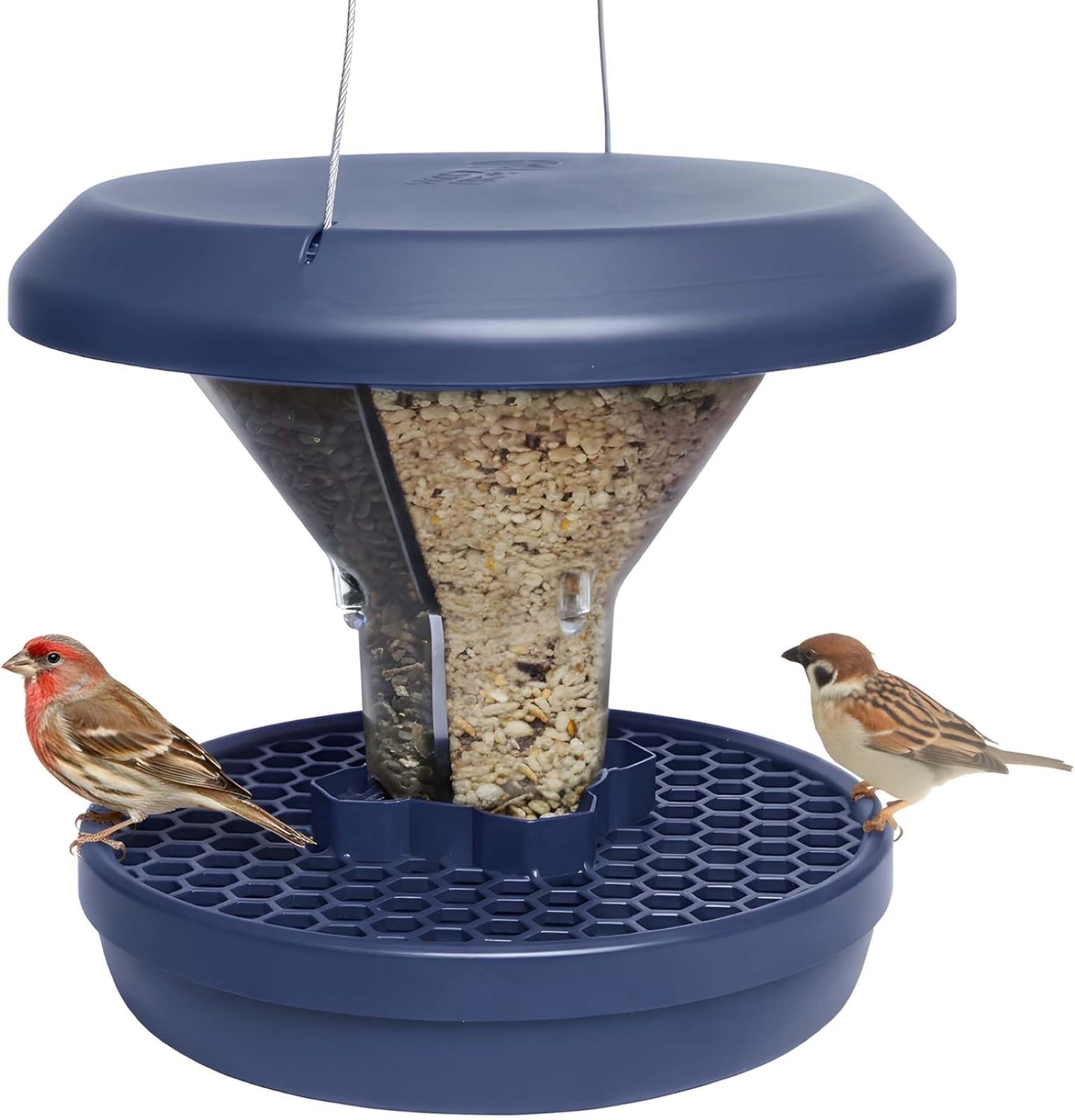 Vogel-Futtersilo SMART BIRDS Davos Indigo Vogel-Futtersilo SMART BIRDS Davos Indigo