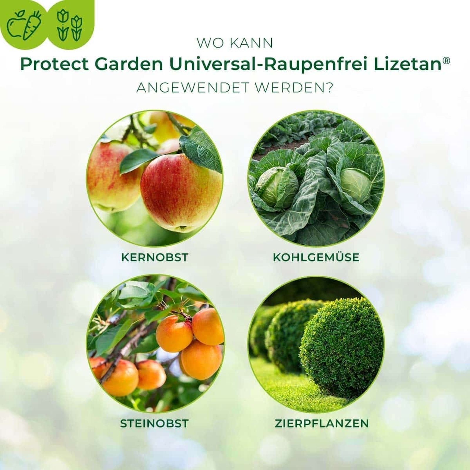 3 X 9ml Universal-Raupenfrei Lizetan 3 X 9ml Universal-Raupenfrei Lizetan
