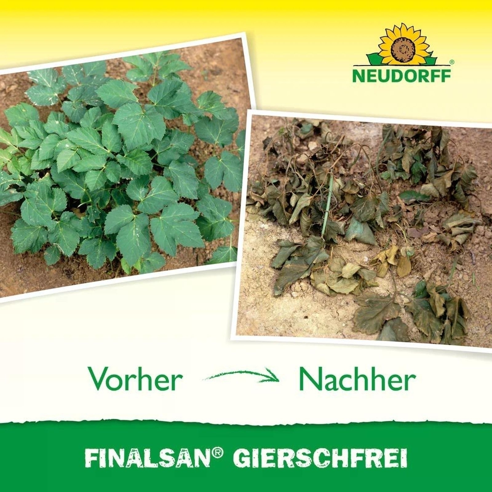 1L Finalsan GierschFrei 1L Finalsan GierschFrei