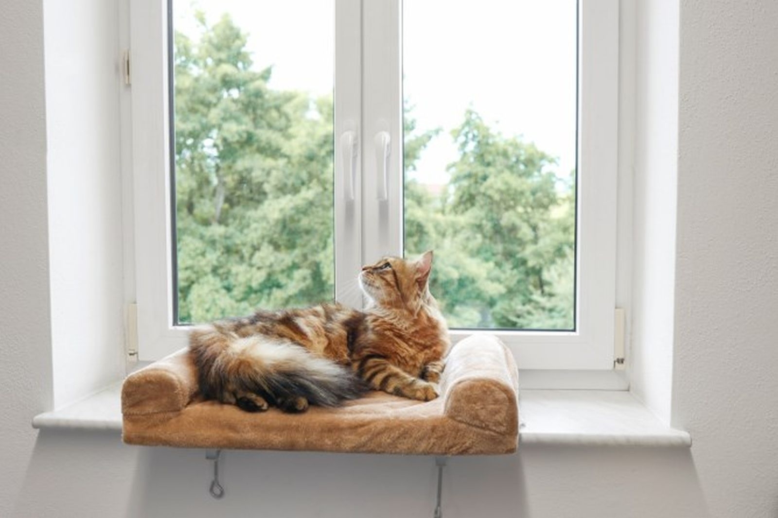 Fensterliegebrett 55x35cm 82656