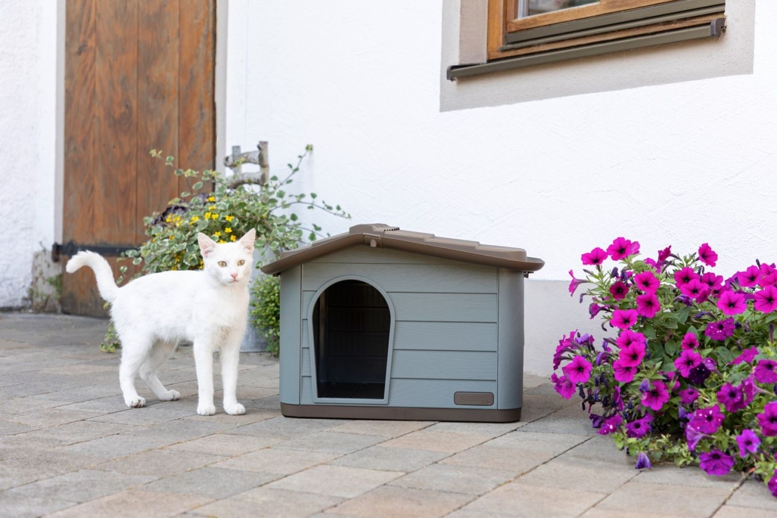 Katzenhaus Paola Eco 81341 Katzenhaus Paola Eco 81341