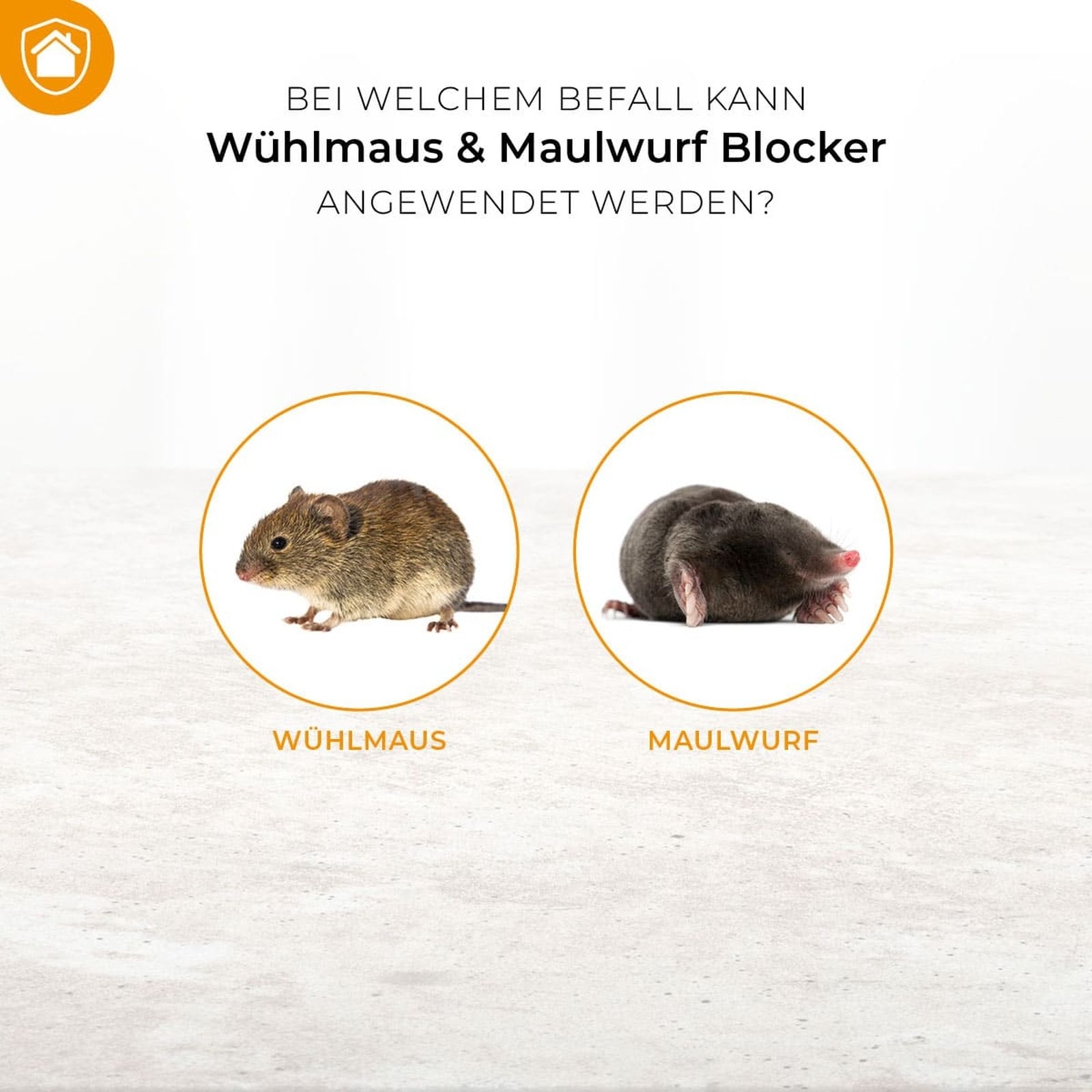 100g Wühlmaus und Maulwurf Blocker 100g Wühlmaus und Maulwurf Blocker