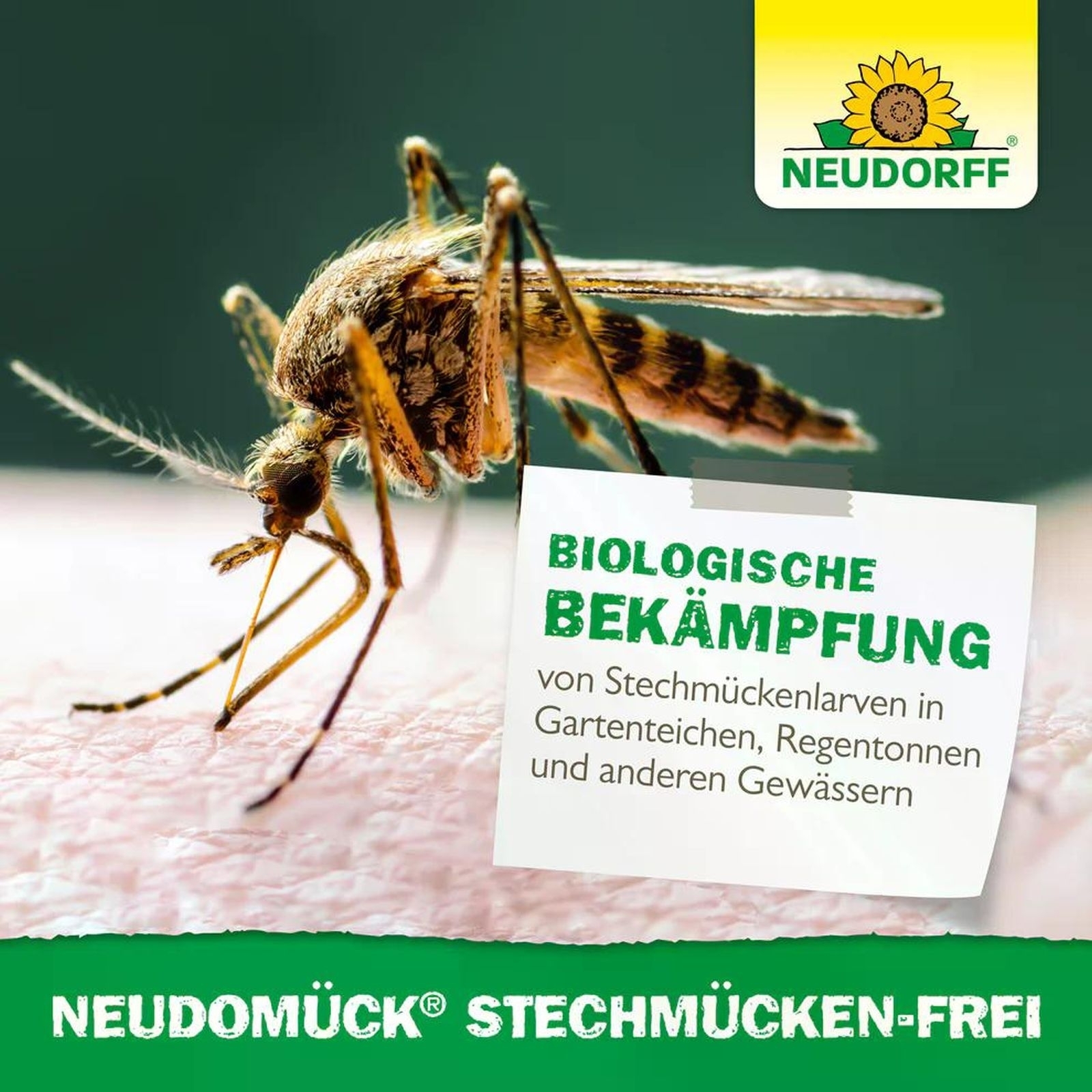 2 X 10er Pack Neudomück Stechmücken-Frei 2 X 10er Pack Neudomück Stechmücken-Frei