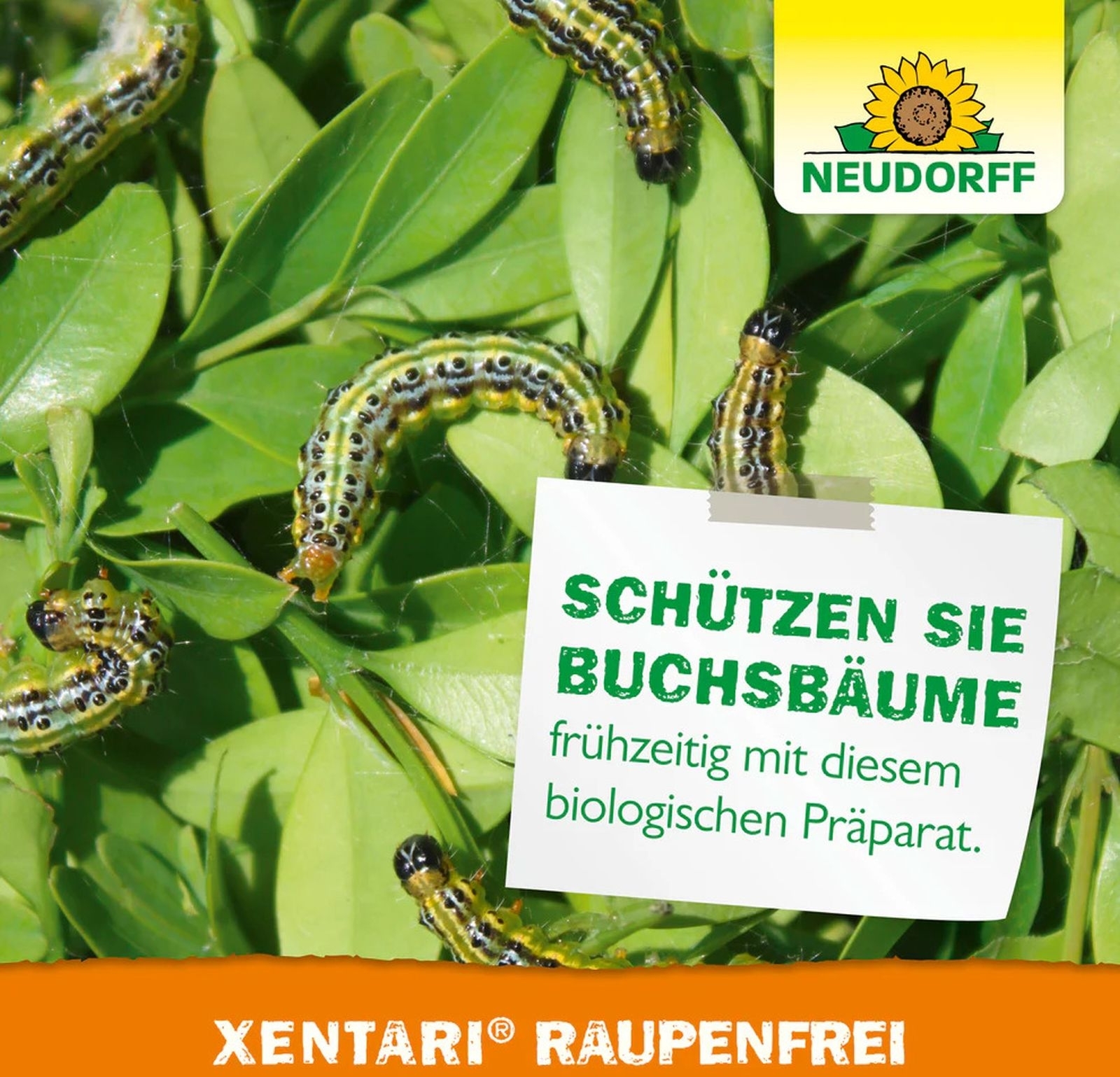 NEUDORFF 25g Xentari RaupenFrei NEUDORFF 25g Xentari RaupenFrei
