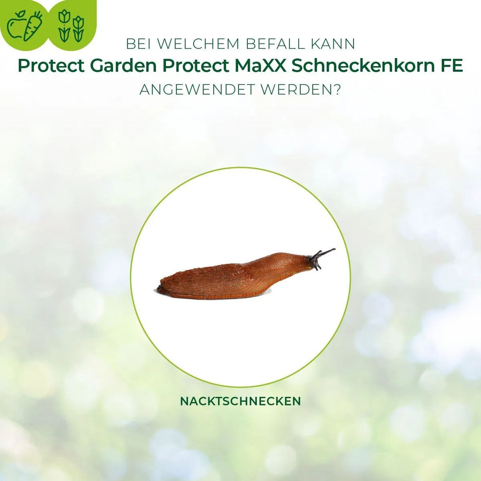 1,2kg Protect MaXX Schneckenkorn FE