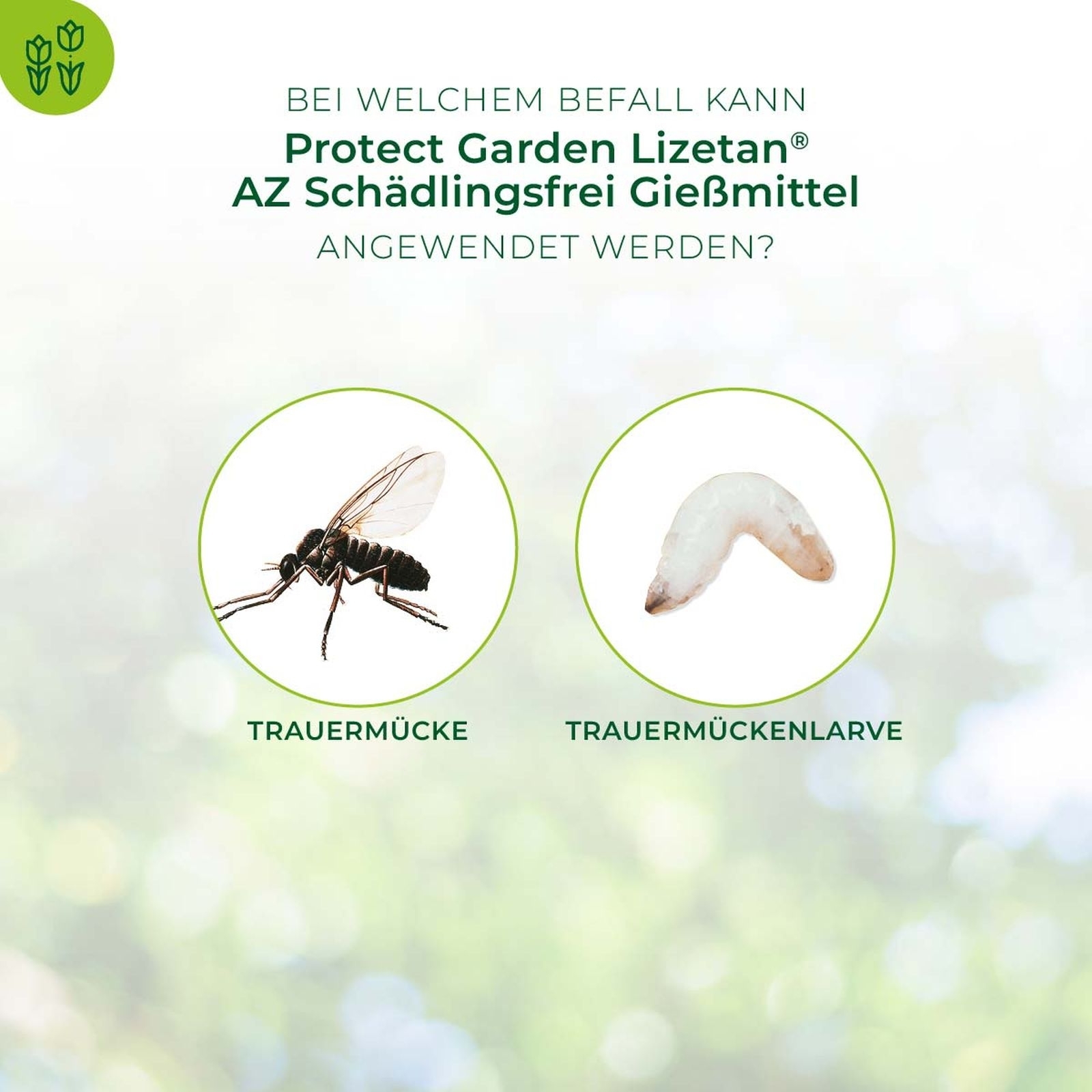 30ml Lizetan AZ Schädlingsfrei Gießmittel