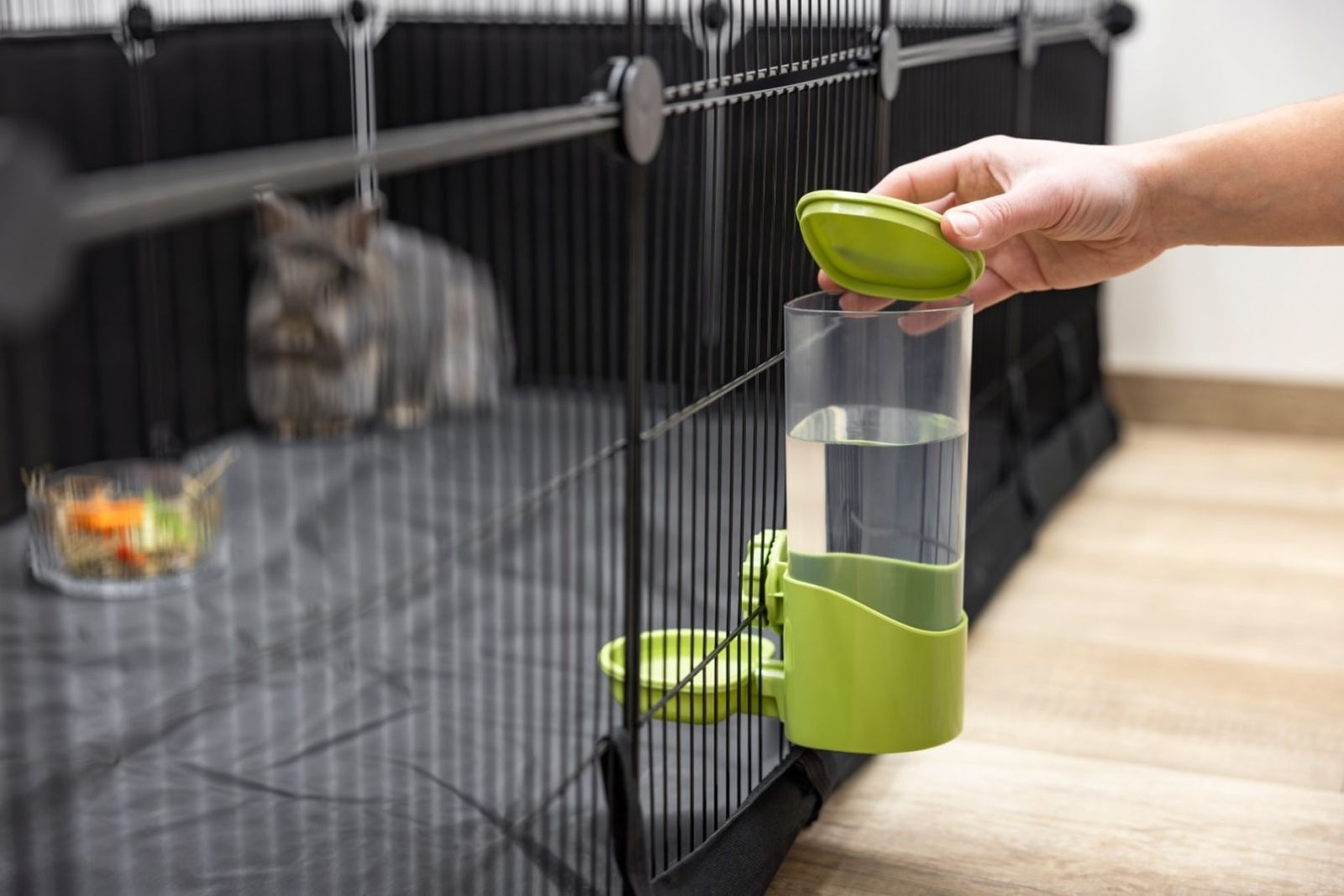 Wasserspender 850 ml grün 81845