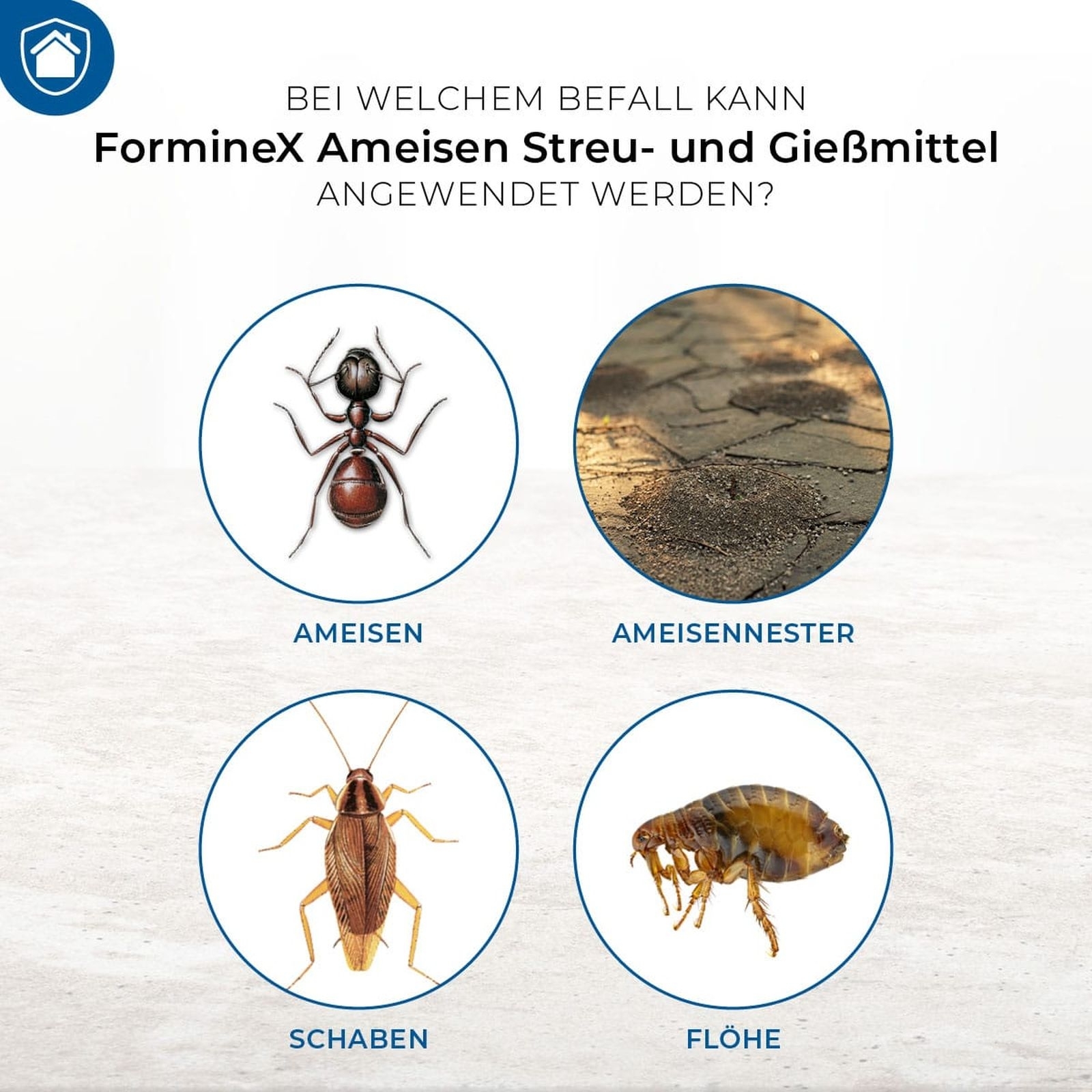500g Protect Home Ameisen Streu- & Gießmittel