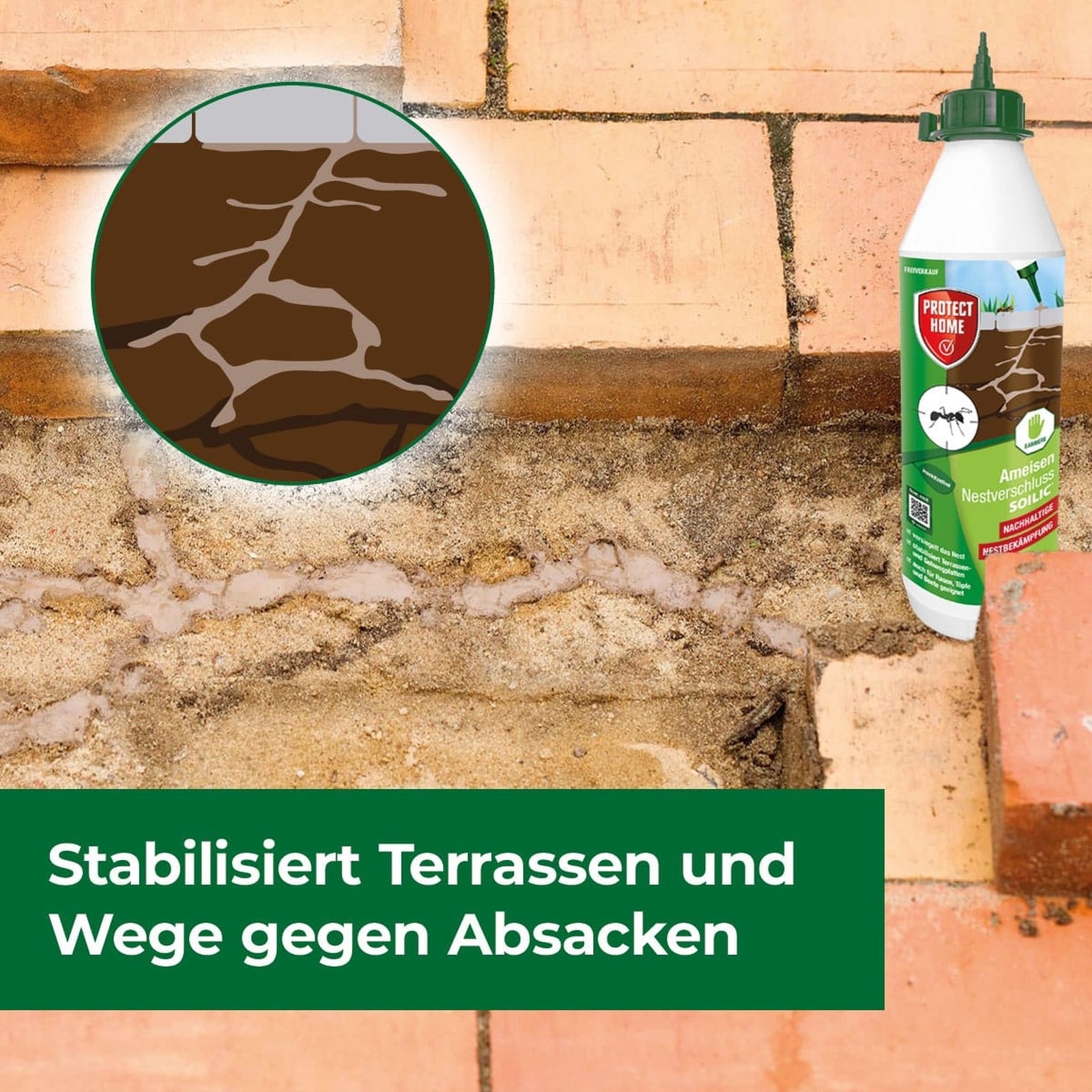 750ml Ameisen Nestverschluss 750ml Ameisen Nestverschluss