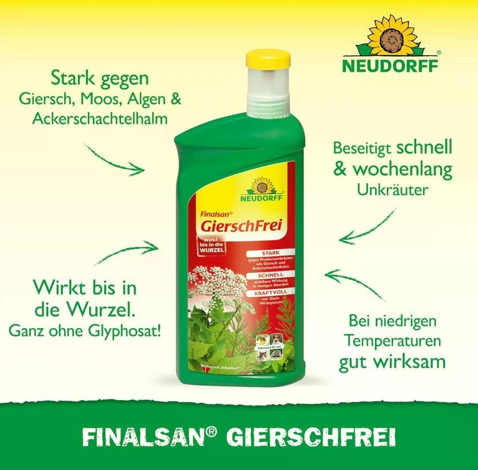 1L Finalsan Giersch­Frei