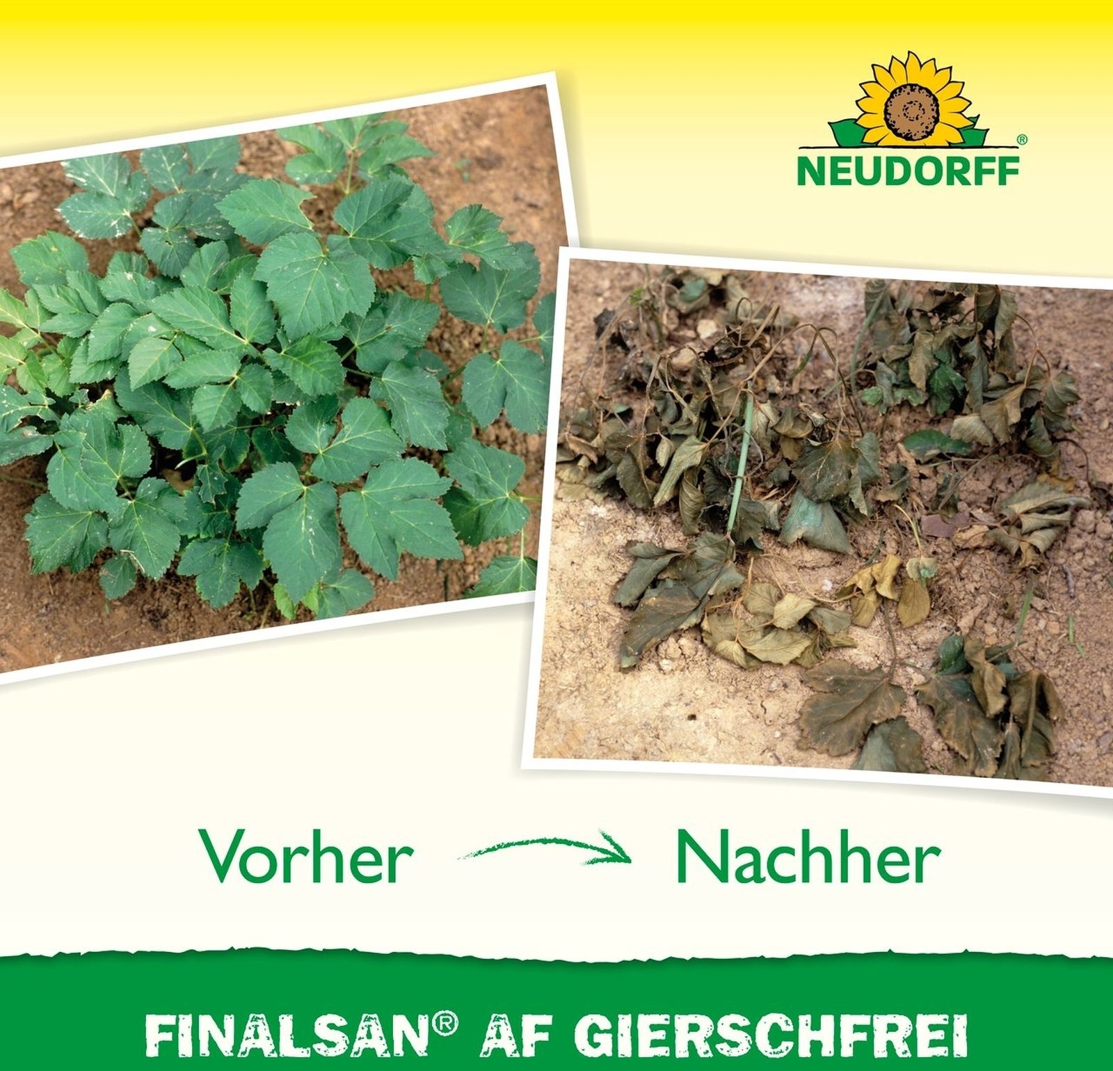 2 X 750ml Finalsan Giersch­Frei AF