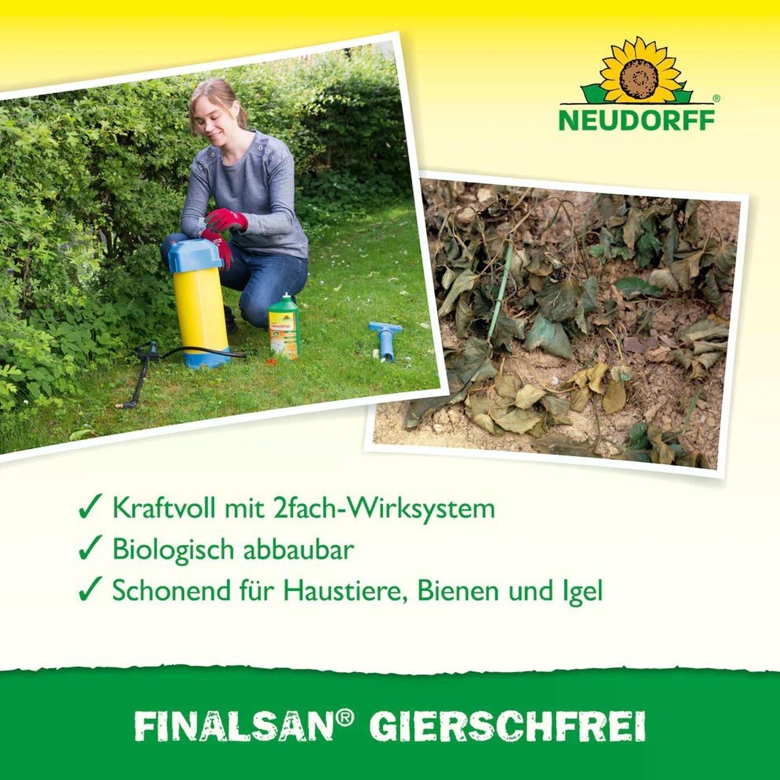 1L Finalsan GierschFrei 1L Finalsan GierschFrei