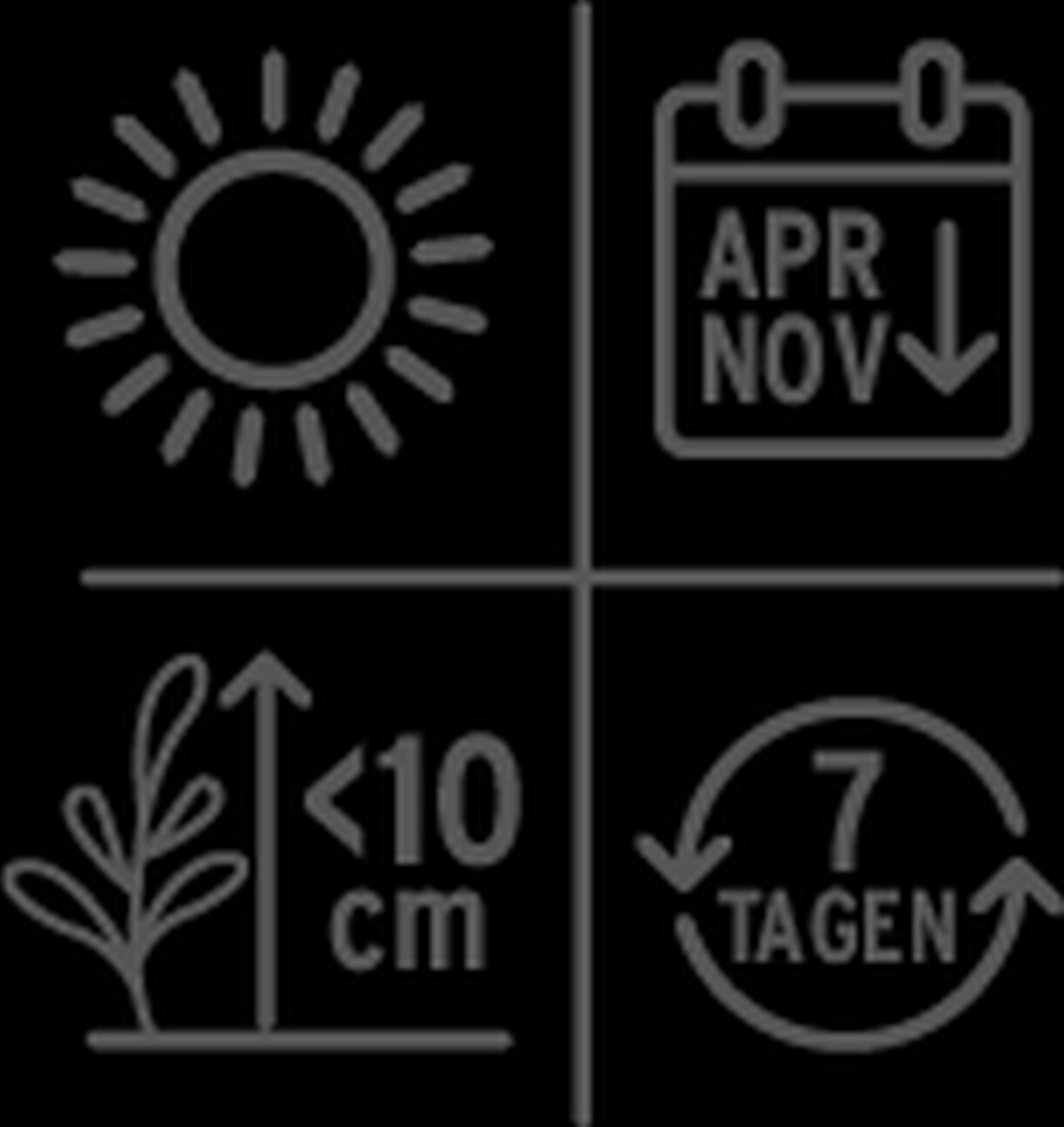 2 X 5L Roundup®Unkrautfrei Total