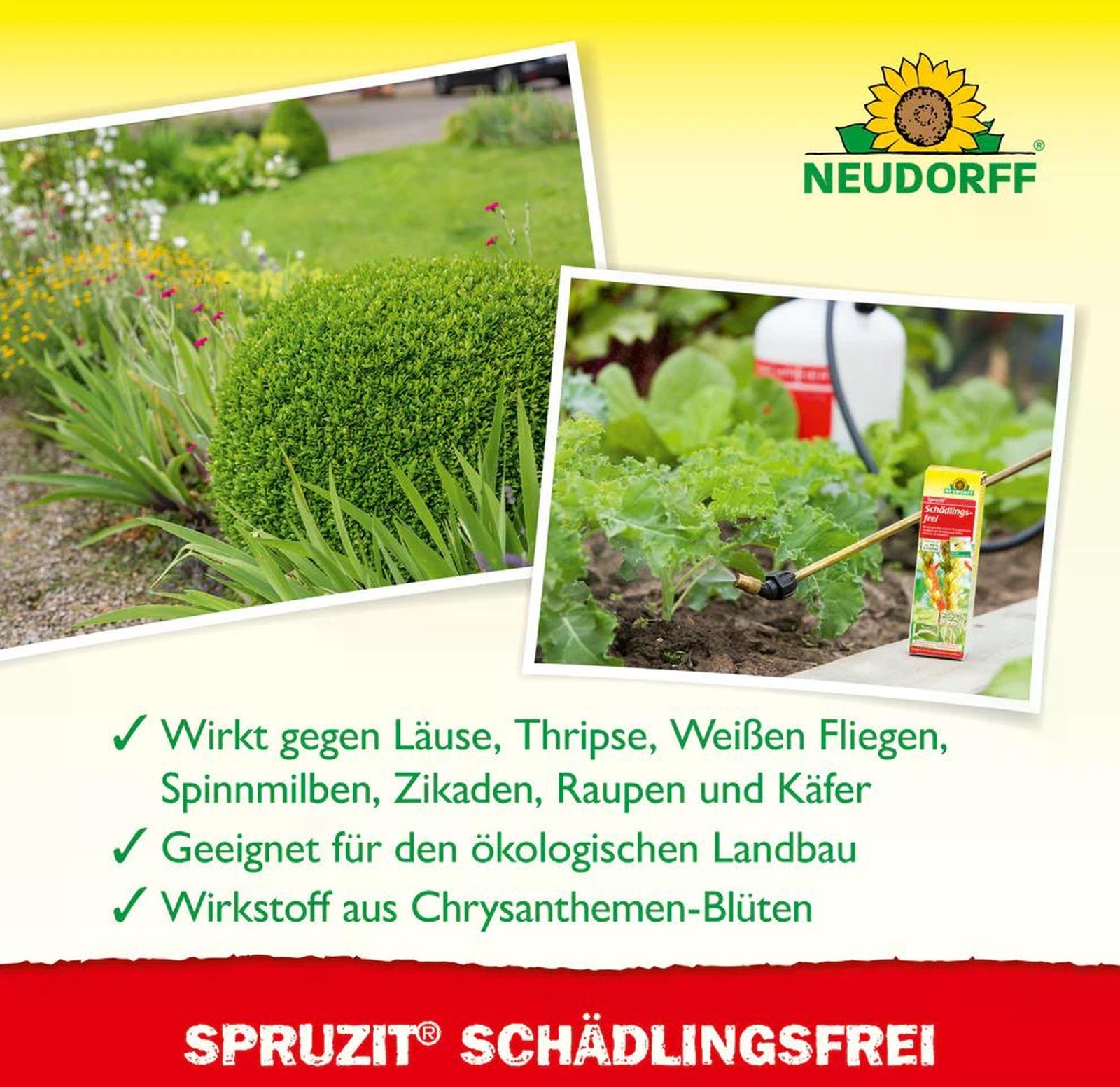 NEUDORFF Spruzit KONZENTRAT Schädlingsfrei 250ml