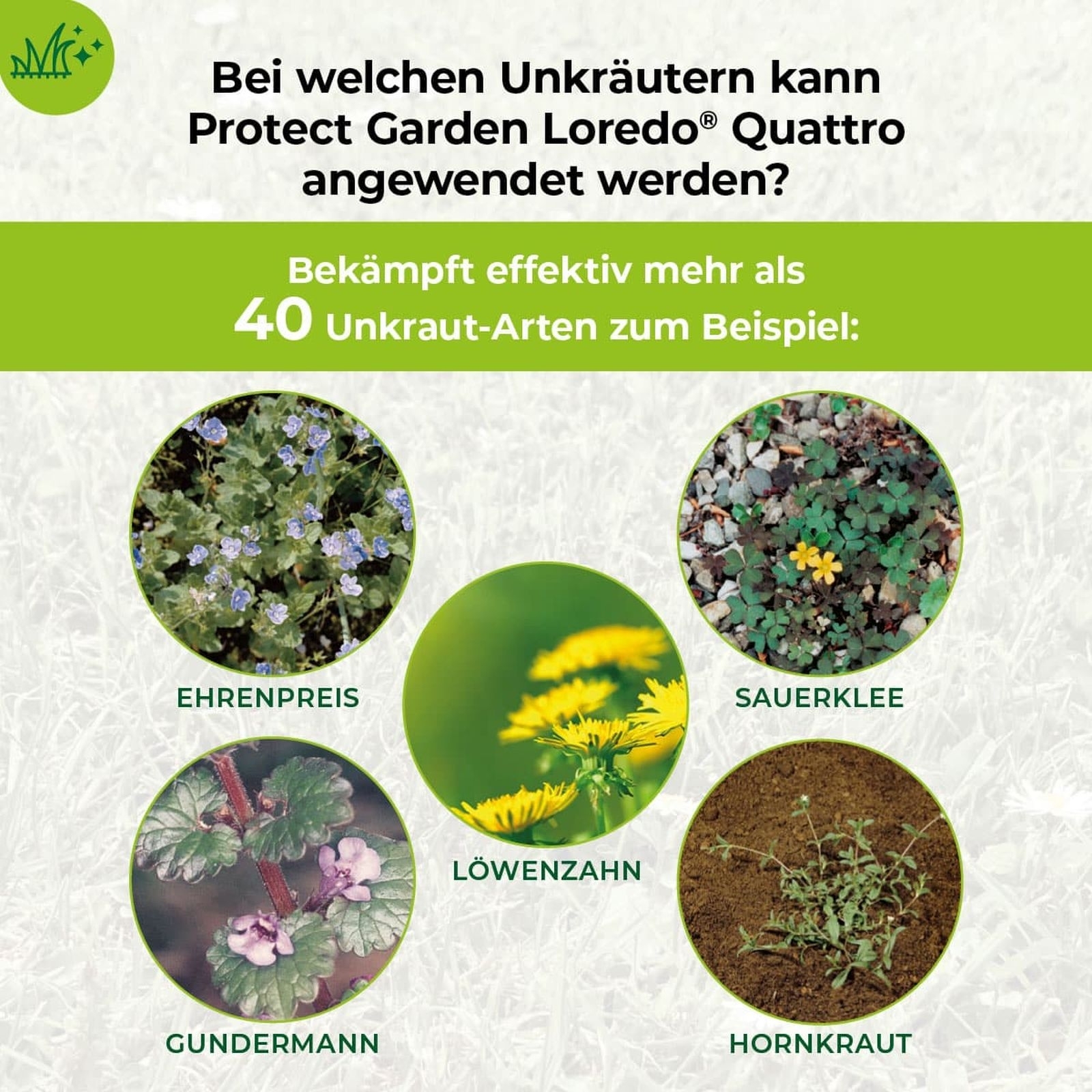 250ml Loredo Quattro Universal - Rasenunkrautfrei