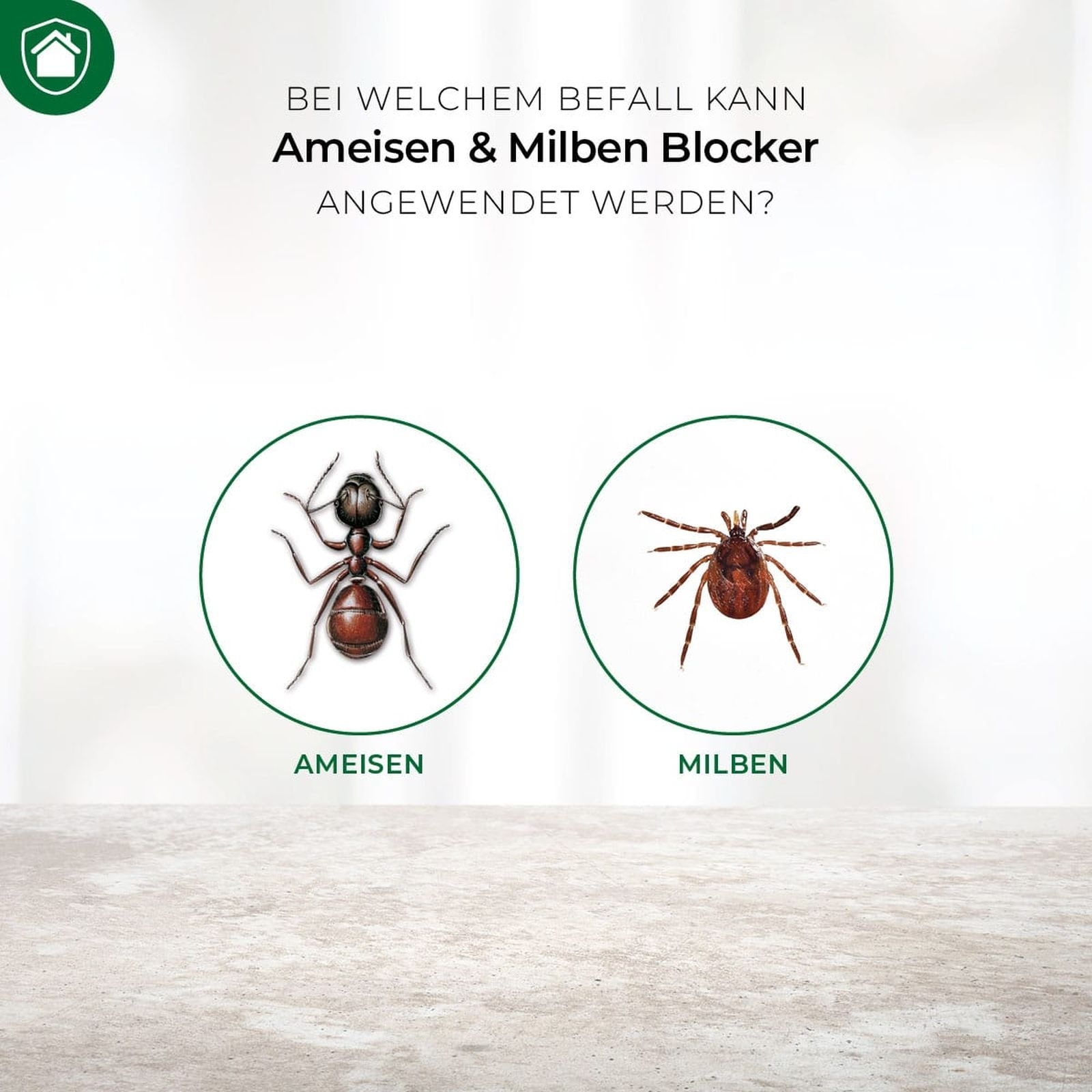 200g Ameisen & Milben Blocker
