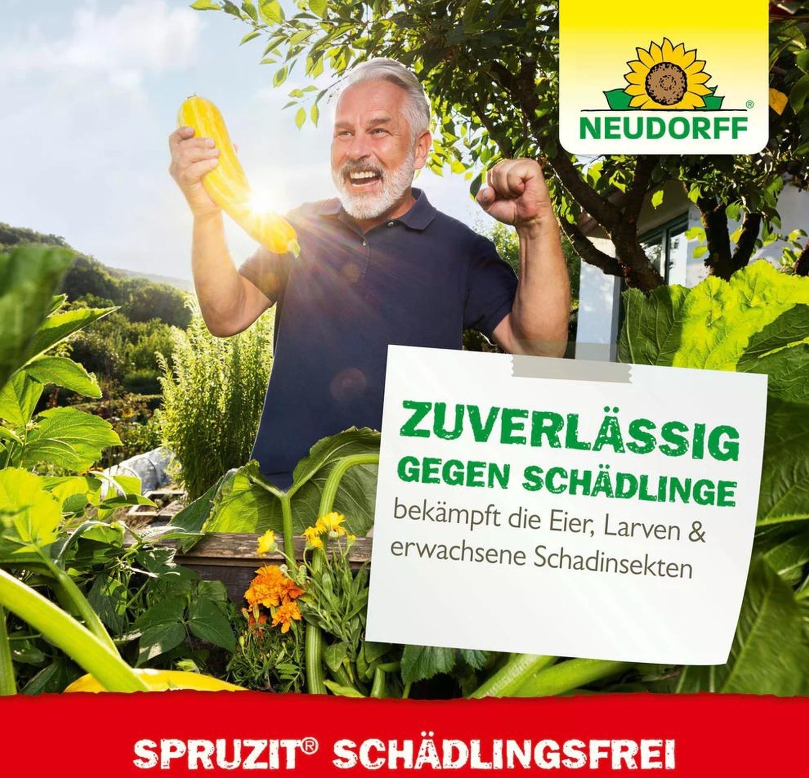 6 X 250ml KONZENTRAT Spruzit Schädlingsfrei 6 X 250ml KONZENTRAT Spruzit Schädlingsfrei
