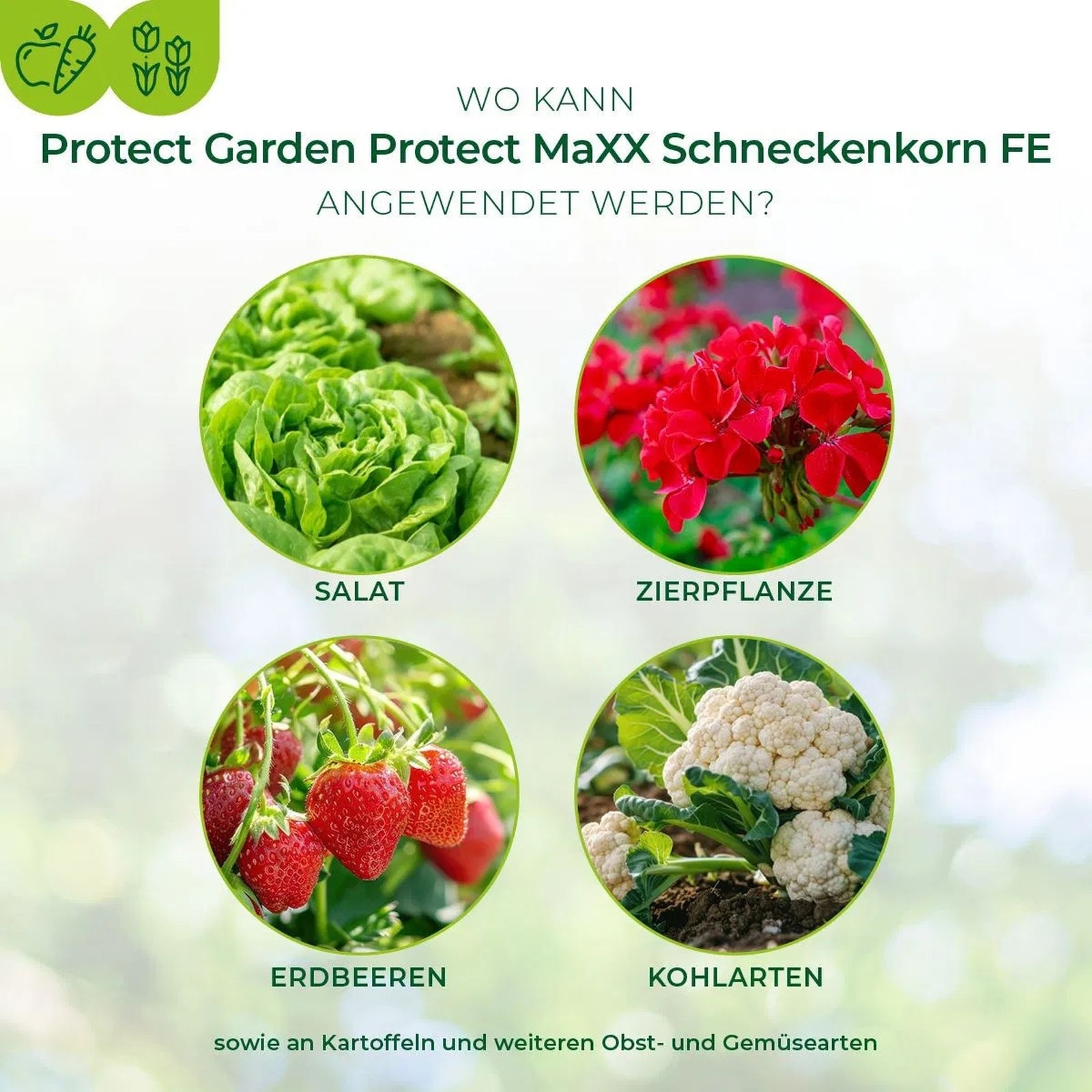 1,2kg Protect MaXX Schneckenkorn FE 1,2kg Protect MaXX Schneckenkorn FE