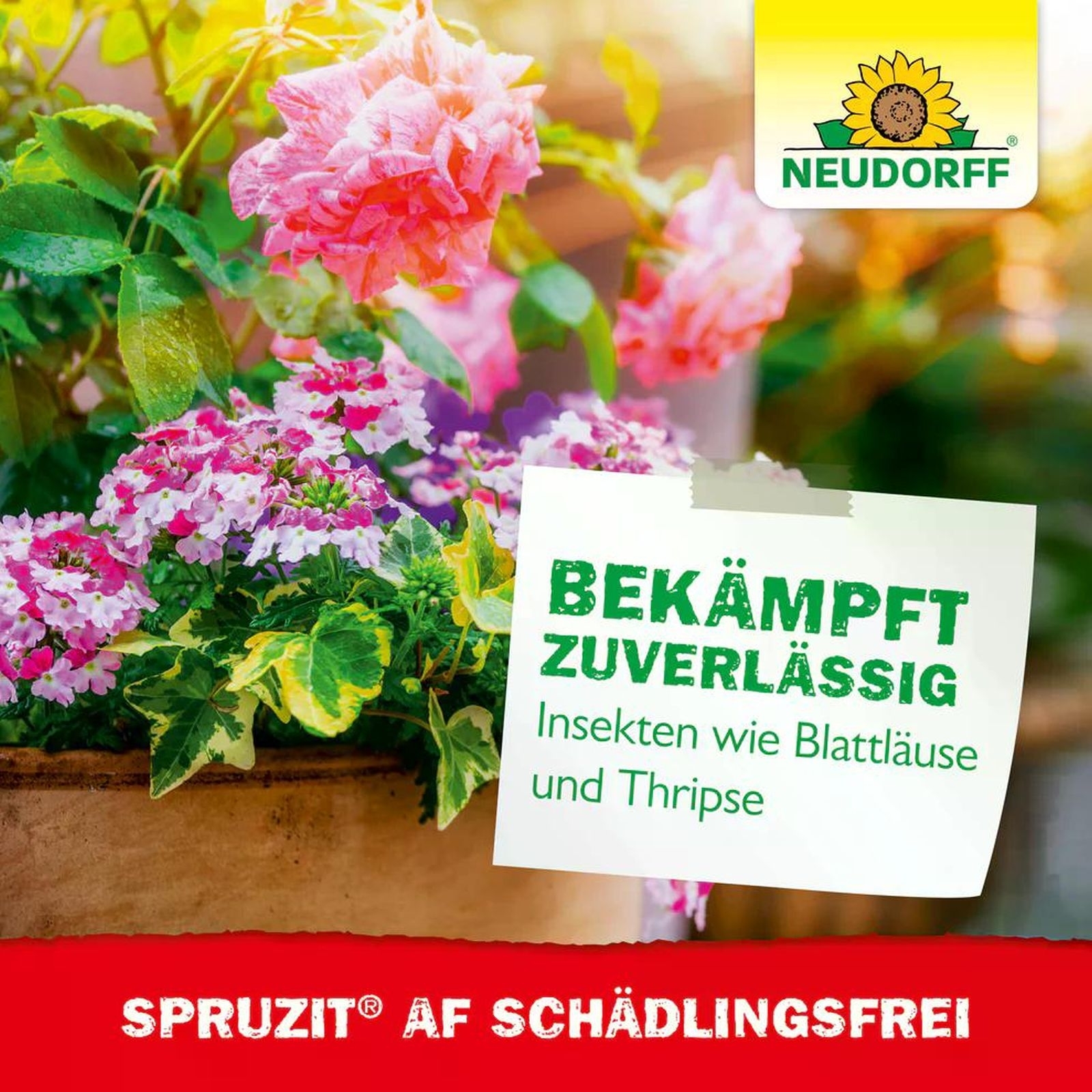 NEUDORFF Spruzit Schädlingsfrei AF 500ml