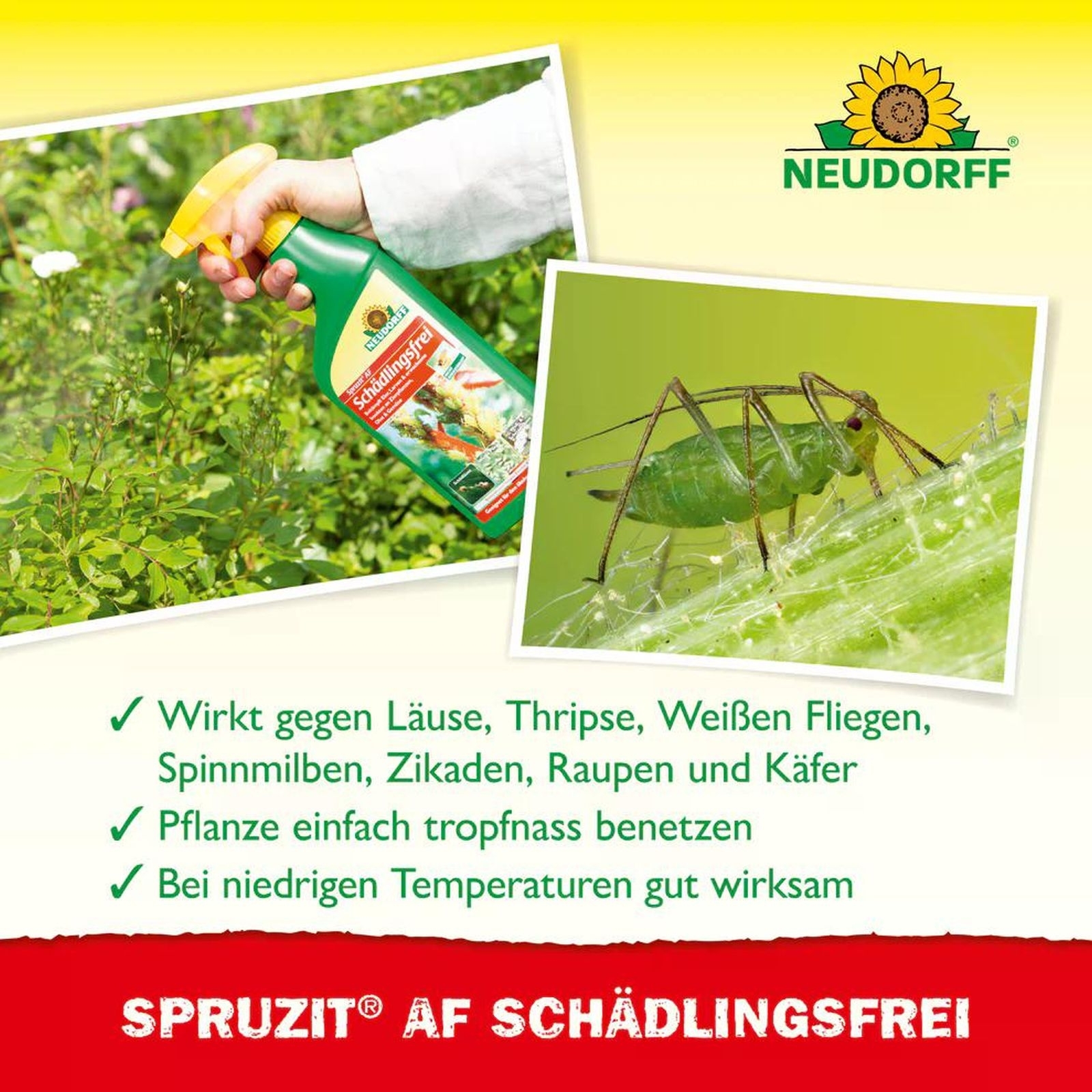 NEUDORFF Spruzit Schädlingsfrei AF 500ml