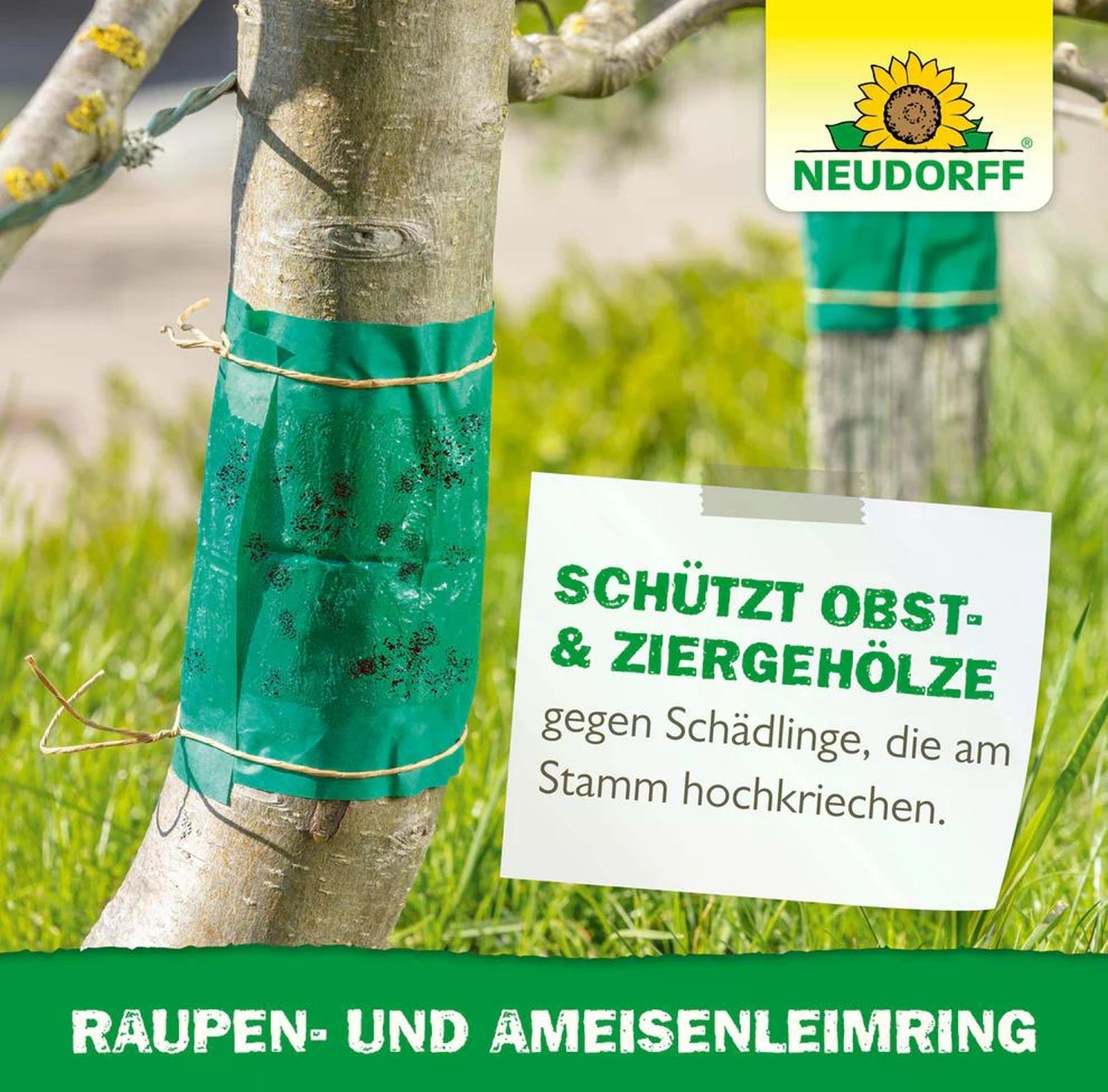 2 X 3m Raupen- und AmeisenLeimring 2 X 3m Raupen- und AmeisenLeimring