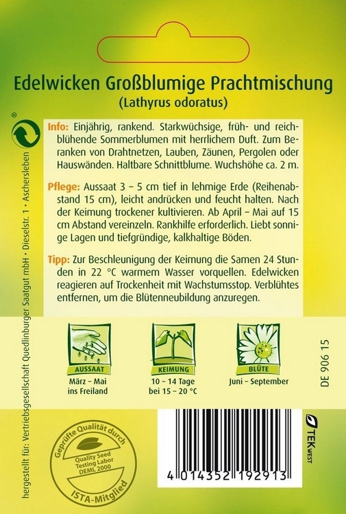 Edelwicken Großblumige Prachtmischung Edelwicken Großblumige Prachtmischung