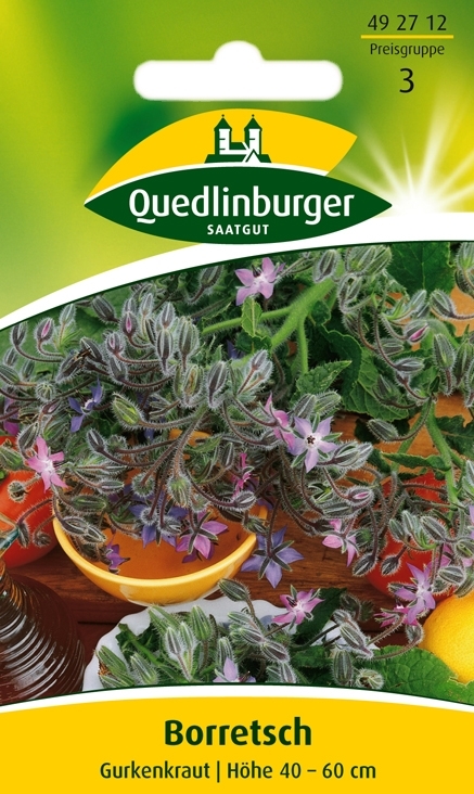 Boretsch Gurkenkraut (Borago officinalis) Boretsch Gurkenkraut (Borago officinalis)
