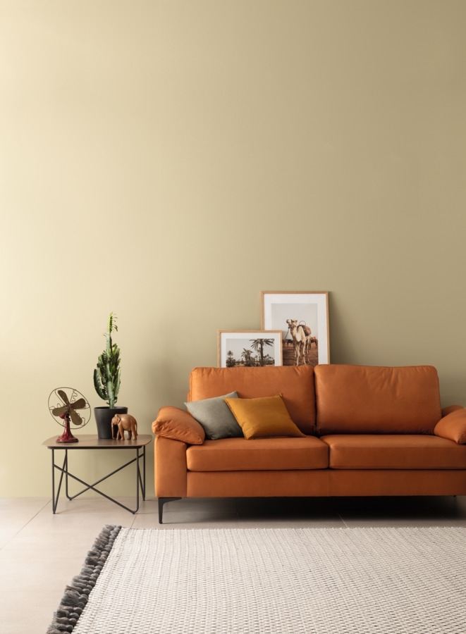 2,5L Schöner Wohnen Designfarbe Verträumtes Wüstenbeige 13 2,5L Schöner Wohnen Designfarbe Verträumtes Wüstenbeige 13
