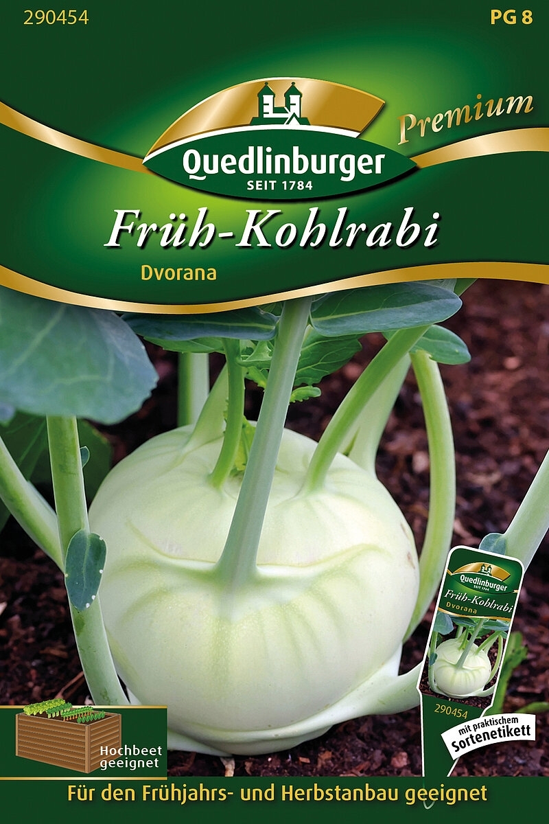 Kohlrabi Früh Dvorana (Brassica oleracea var. gongylodes)