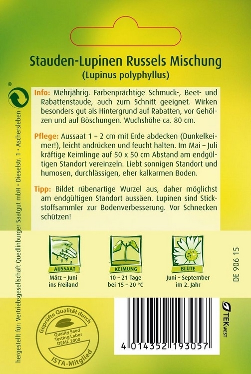 Gründünger Stauden-Lupinen Russels Mischung Gründünger Stauden-Lupinen Russels Mischung