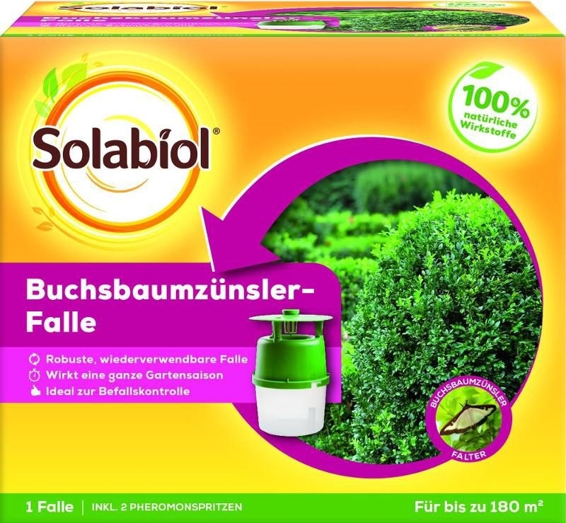 Bayer Solabiol Buchsbaumzünzler- Falle Bayer Solabiol Buchsbaumzünzler- Falle