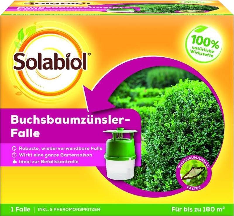 Bayer Solabiol Buchsbaumzünzler- Falle