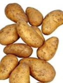 Pflanzkartoffeln Lilly 5 kg, gelb, früh-mittel, mehlig Pflanzkartoffeln Lilly 5 kg, gelb, früh-mittel, mehlig