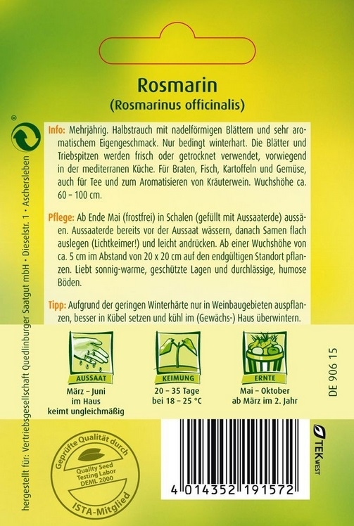 Rosmarin mehrjährig Rosmarin mehrjährig