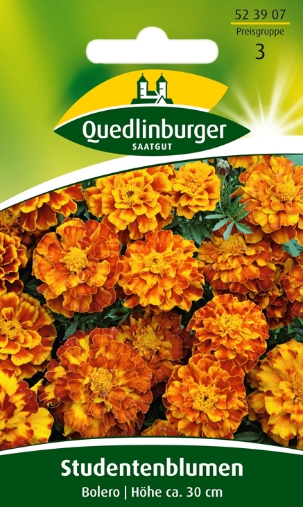 Studentenblumen Bolero (Tagetes patula)