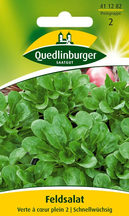 Feldsalat Dunkelgrüner vollherziger 2