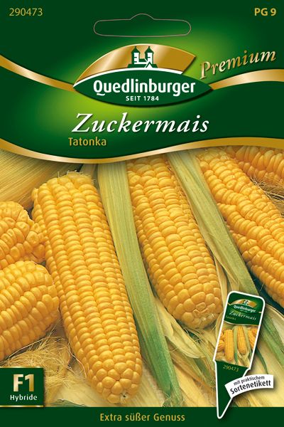 Zuckermais Tatonka