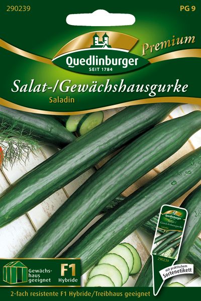 Gewächshausgurke Saladin