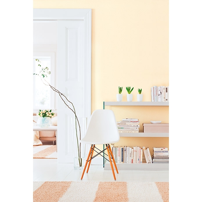 10L Schöner Wohnen My Colour Wandfarbe My Ivory