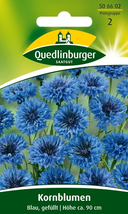 Kornblumen Blau gefüllt (Centaurea cyanus)