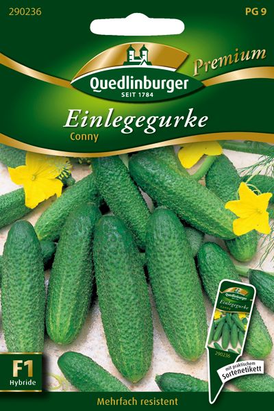 Einlegegurke Conny