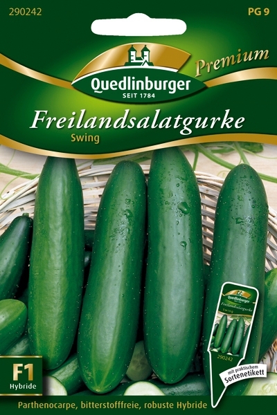 Freilandsalatgurke Swing