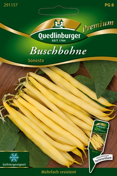Buschbohne Sonesta