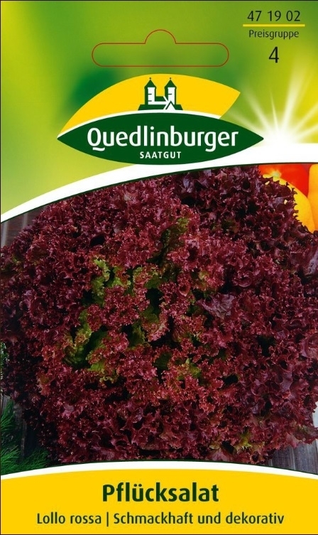 Pflücksalat Lollo rossa
