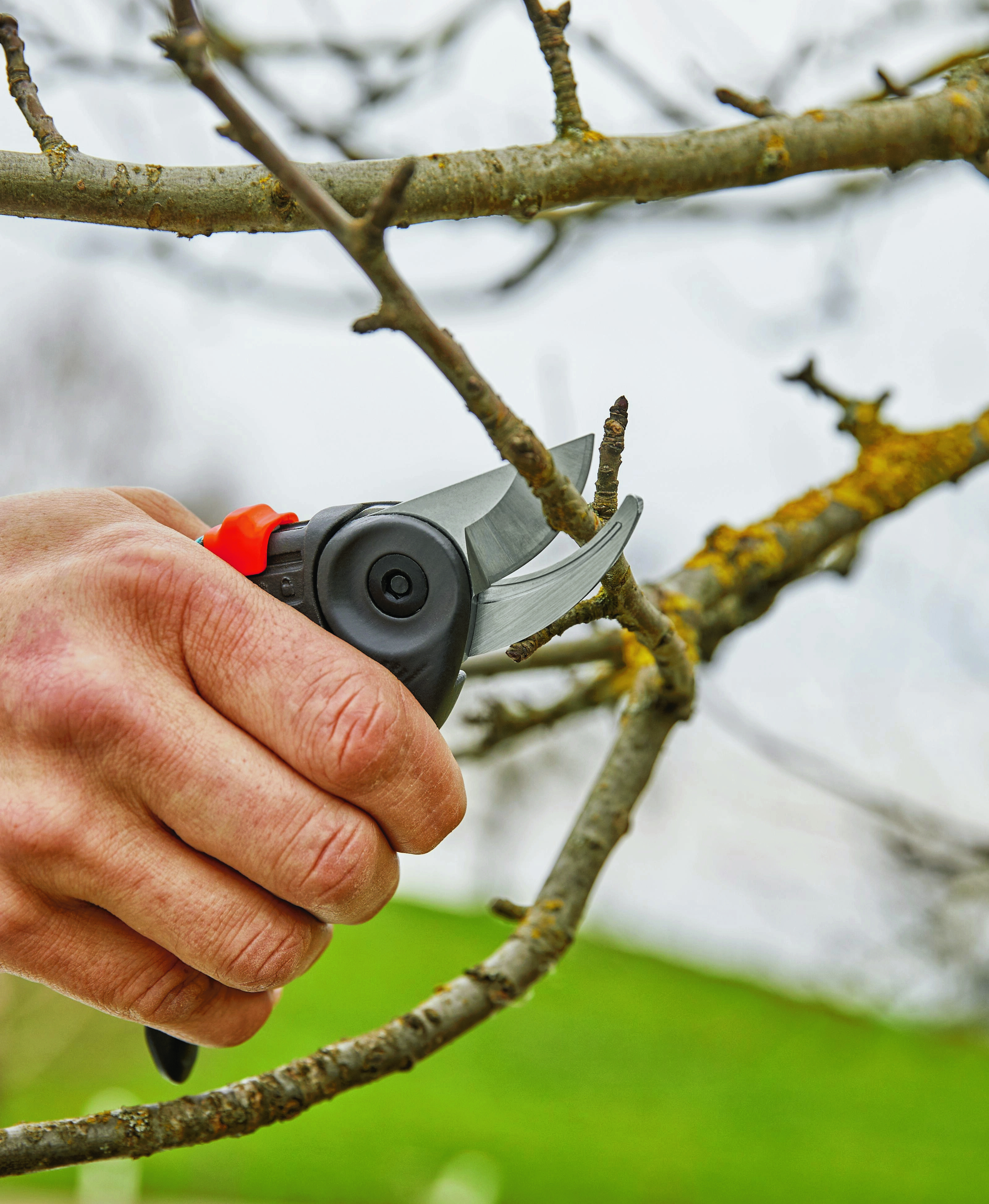 GARDENA Gartenschere ExpertCut - Aktion