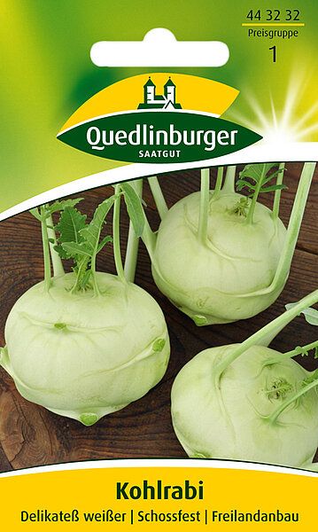 Kohlrabi Delikateß weißer